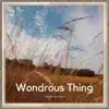 Wondrous Thing - Single album lyrics, reviews, download