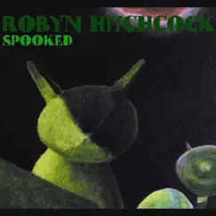 Spooked by Robyn Hitchcock album reviews, ratings, credits