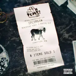 Splurgin - Single by Lil Pump album reviews, ratings, credits