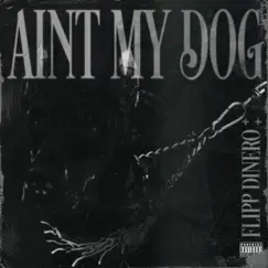 Ain't My Dog Song Lyrics