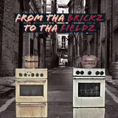 From Tha Brickz to Tha Fieldz by Known As B & Delvy D album reviews, ratings, credits