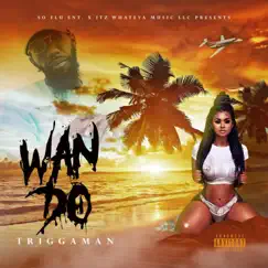 Wan Do - Single by Triggaman album reviews, ratings, credits