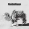 Como una Sombra (feat. Sir Hope) - Single album lyrics, reviews, download
