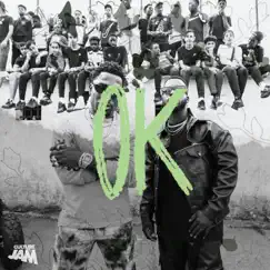 OK - Single by Culture Jam, Bramsito & Frenna album reviews, ratings, credits