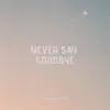 Never Say Goodbye - Single album lyrics, reviews, download