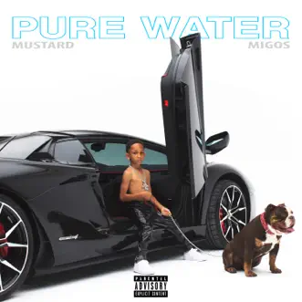 Download Pure Water Mustard & Migos MP3