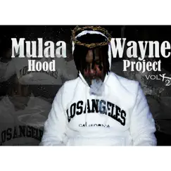 Hood Project Vol 2 by Mulaawayne album reviews, ratings, credits