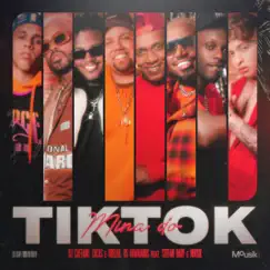 Mina do Tiktok (feat. Stefan Baby & Mousik) - Single by DJ Caetano, Lucas e Orelha & Os Hawaianos album reviews, ratings, credits