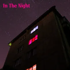 In the Night - Single by Woo Jin Jeon album reviews, ratings, credits