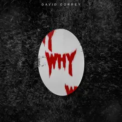 Why - Single by David Correy album reviews, ratings, credits