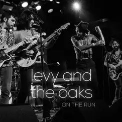 On the Run - Single by Levy and the Oaks album reviews, ratings, credits