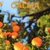 Calma - Single album lyrics, reviews, download