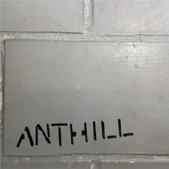 Anthill Song Lyrics