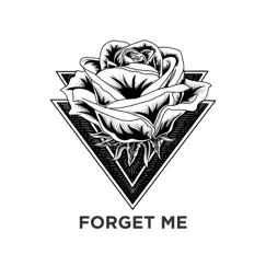 Forget Me Song Lyrics