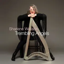 Trembling Angels Song Lyrics