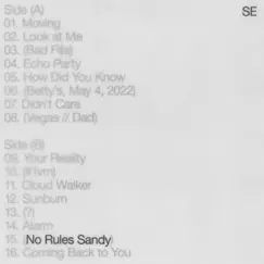 (No Rules Sandy) Song Lyrics