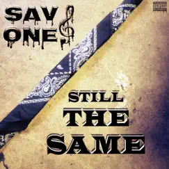 Still The Same - Single by Sav One album reviews, ratings, credits