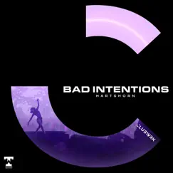 Bad Intentions Song Lyrics