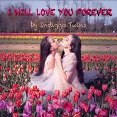 I Will Love You Forever Song Lyrics