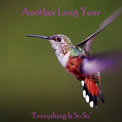 Everything Is So So - Single by Another Long Year album reviews, ratings, credits