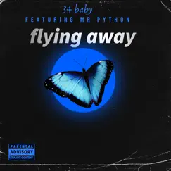 Flying Away (feat. Mr. Python) - Single by 34.baby_ntb album reviews, ratings, credits
