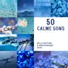 50 Calme sons de la nature & Zen musique 2022 album lyrics, reviews, download