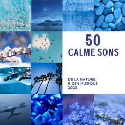 50 Calme sons de la nature & Zen musique 2022 by Bouddha musique sanctuaire & Ensemble de Musique Zen Relaxante album reviews, ratings, credits
