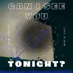 Can I See You Tonight? Song Lyrics