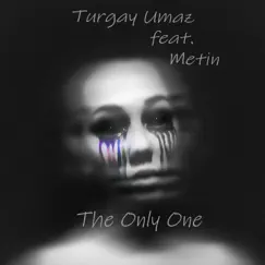 The Only One (feat. Metin) Song Lyrics