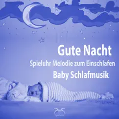 Gute Nacht - Tiefer Baby Schlaf - Melodie zum Baby Beruhigen und Schlafen Song Lyrics