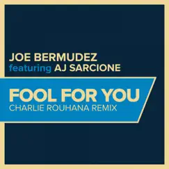Fool For You (feat. AJ Sarcione) [Charlie Rouhana Remix Instrumental] Song Lyrics