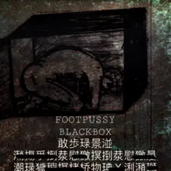 The Black Box by Foot Pussy album reviews, ratings, credits