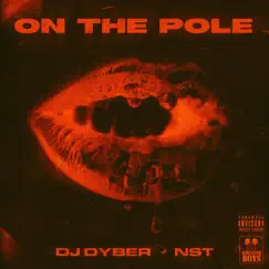 On the Pole - Single by DJ Dyber & Nst album reviews, ratings, credits