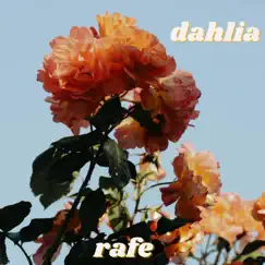 Dahlia Song Lyrics