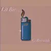 Lit Bic - Single album lyrics, reviews, download