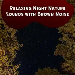 Relaxing Night Nature Sounds with Brown Noise, Loopable by Sounds Of The Night, Nature Sounds Artists & Brown Noise Playlist album reviews, ratings, credits
