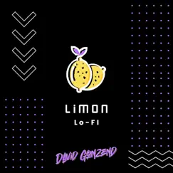 Limón Lo-Fi Song Lyrics