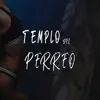 Templo del perreo - Single album lyrics, reviews, download