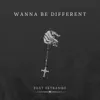 Wanna Be Different (feat. STKBAMBO) song lyrics