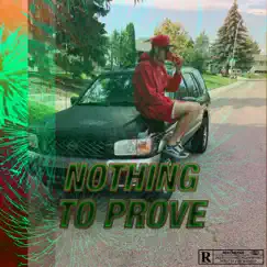 Nothing To Prove Song Lyrics