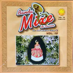 Banda Mixe de Oaxaca, Vol. 10 by Banda Mixe de Oaxaca album reviews, ratings, credits