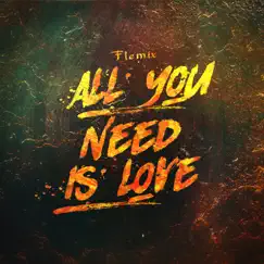 All You Need Is Love - Single by Flemix album reviews, ratings, credits