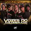 Vozes do Aglomerado (feat. DJ ARTHUZIIN, Mc Faelzin, DJ PH DA SERRA, Dj Lv Mdp, MC Wesley & Daan Mc) - Single album lyrics, reviews, download