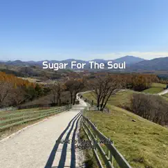 Sugar For the Soul - Single by Music to listen to while sleeping album reviews, ratings, credits