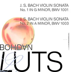 Violin Sonata No. 1 in G Minor, BWV 1001: II. Fuga Song Lyrics