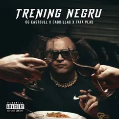 TRENING NEGRU (feat. Cadillac & Tata Vlad) Song Lyrics