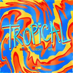 Tropical (feat. Berechet & Nutu) - Single by Mgk666 album reviews, ratings, credits
