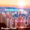 Sunshine City (Instrumental) - Single album lyrics, reviews, download