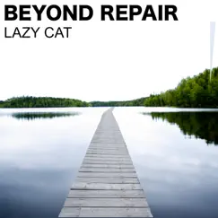 Lazy Cat Song Lyrics