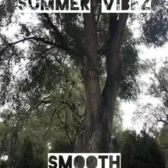 Summer Vibez - EP by G Mac & J Smooth album reviews, ratings, credits